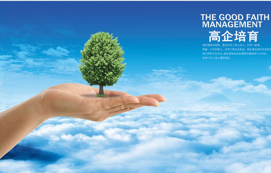 2018年深圳市《关于加强高新技术企业培育的通知》