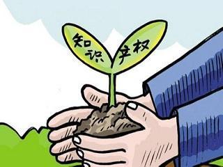 【干货】如何进行知识产权管理？主要内容是什么？