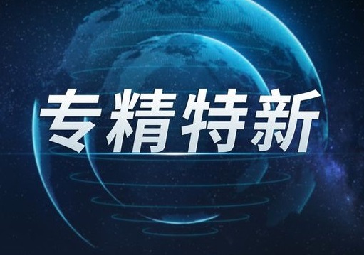 专精特新